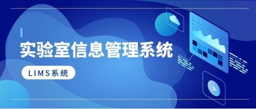 雙十二年終大促 計算機網(wǎng)絡(luò)技術(shù)必備——兵鋒軟件系列產(chǎn)品限時折扣